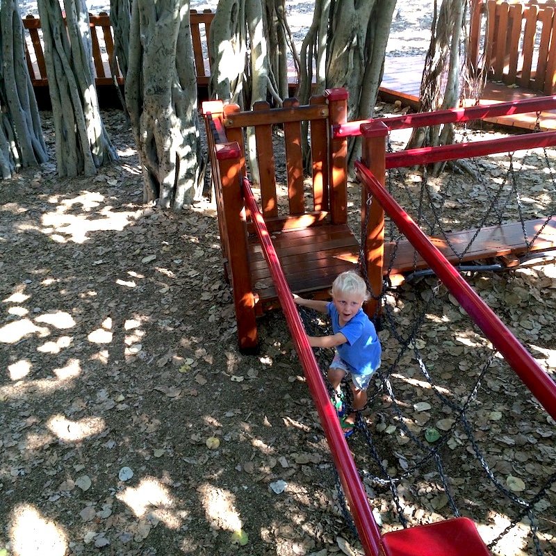 new farm playground chain bridge pic