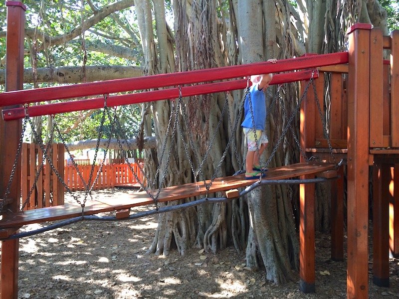 platform bridge at new farm park playground 800