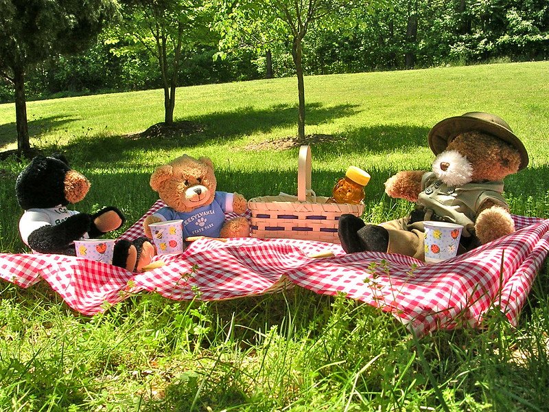 FUN THINGS TO DO AT HOME FOR FREE! - teddy bears picnic by virginia state parks