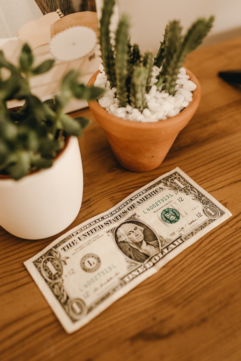 save money for disney - regular deposits like a tree growing