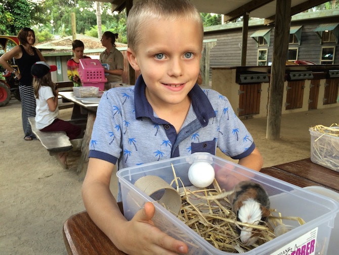 macadamia castle wildlife guardians program pic