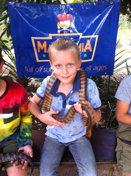 macadamia castle ned with snake pic