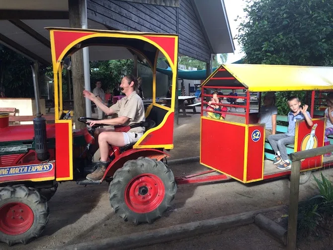 macadamia castle train ride pic