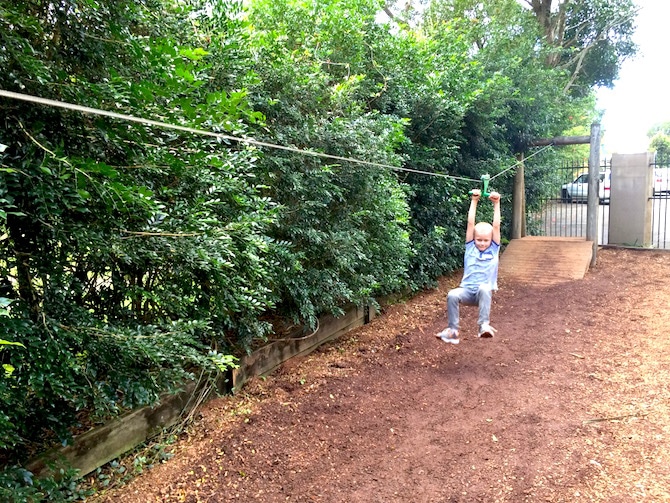 macadamia castle zip line pic