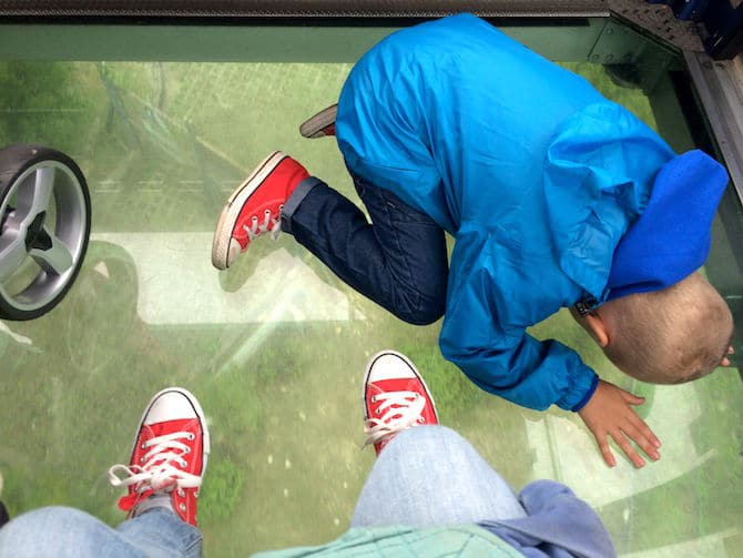 ngong ping 360 crystal cabin with ned on the floor pic