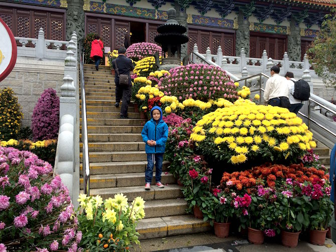 ngong ping 360 monastery flowers