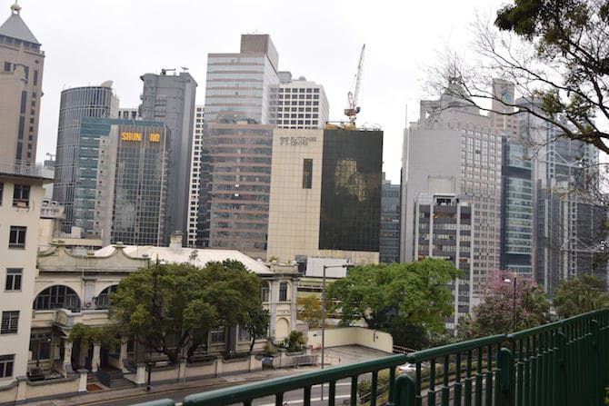 hong kong zoo and botanical gardens city view pic