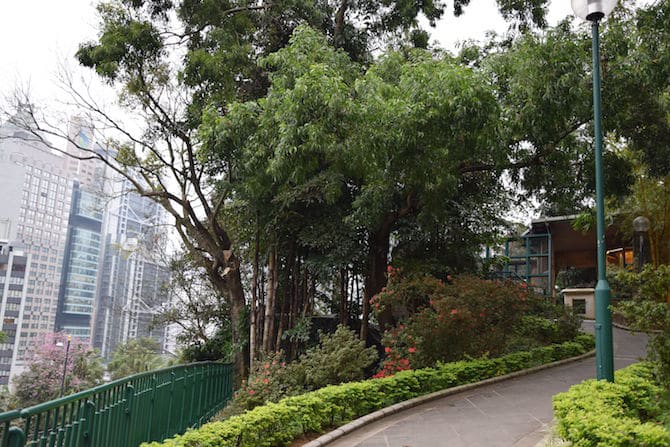 hong kong zoo and botanical gardens greenery pic