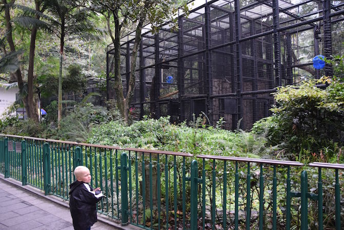 hong kong zoo and botanical gardens with jack pic