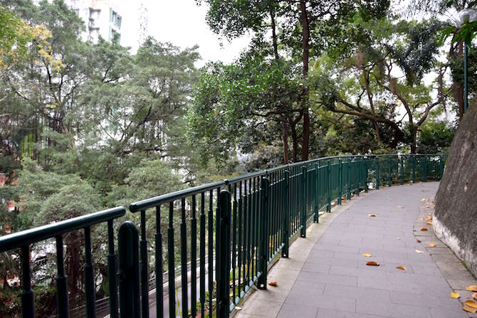hong kong zoo and botanical gardens pathway pic
