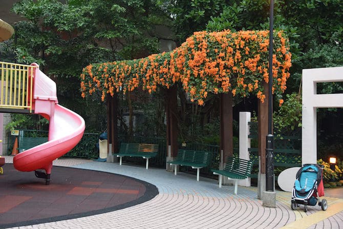 hong kong zoo and botanical gardens seating pic