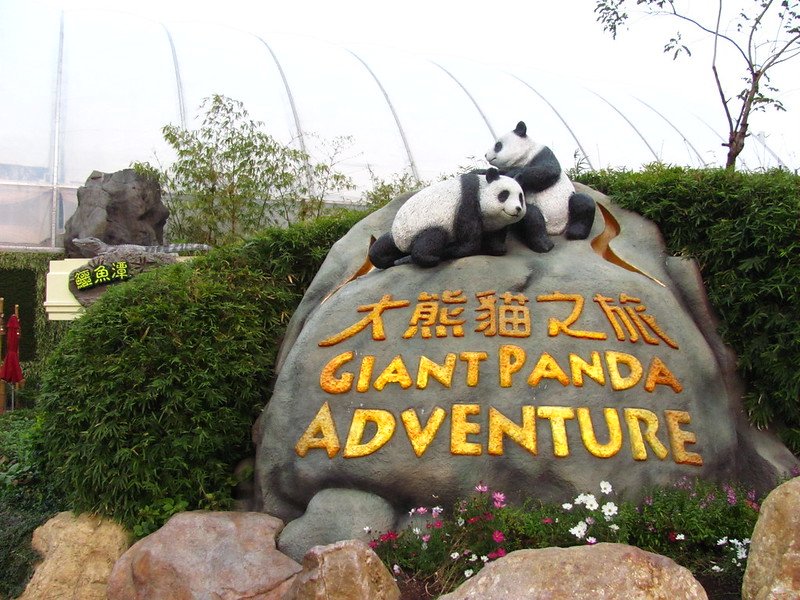 ocean park giant panda adventure by jeremy thompson