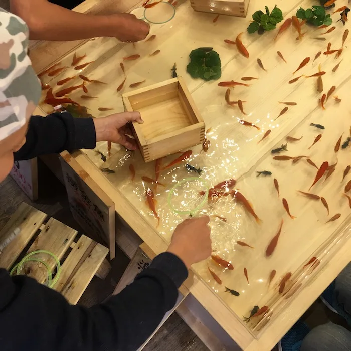 goldfish scooping game at asakusa kingyo