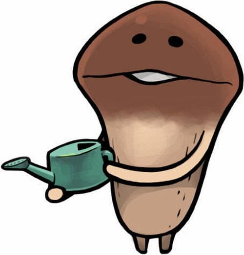 nameko