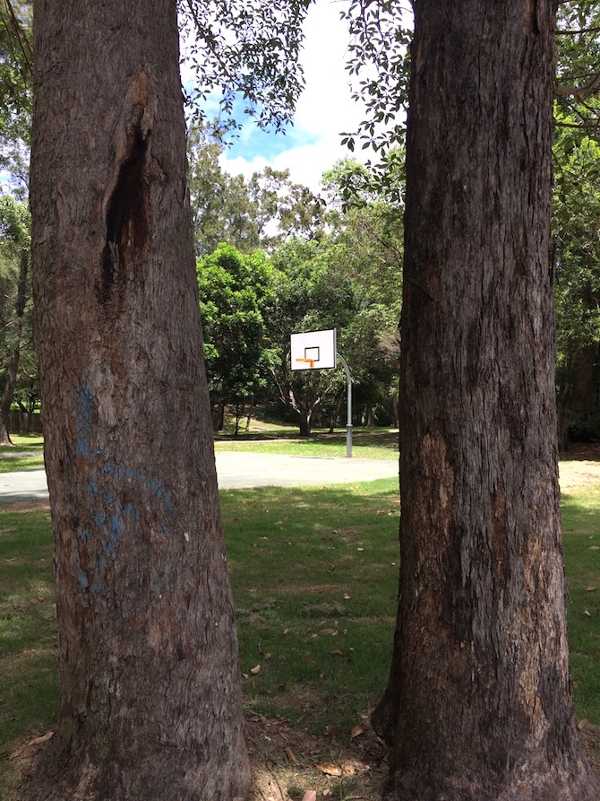 roselea playground basketball court