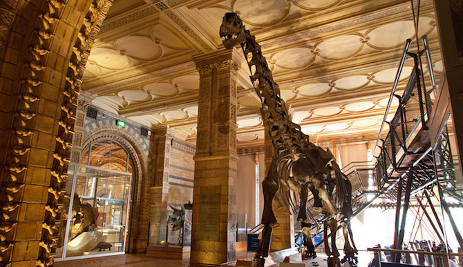 Dinosaur-Gallery-&-Mammals