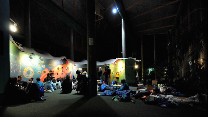 london zoo bedbugs sleepover room - unusual places to stay in London