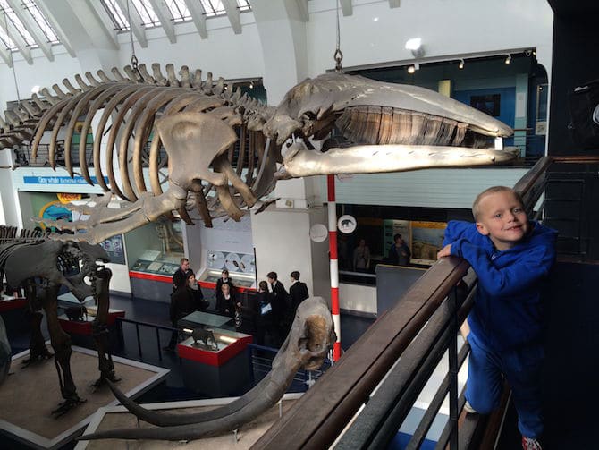 natural history museum london with kids animal hall