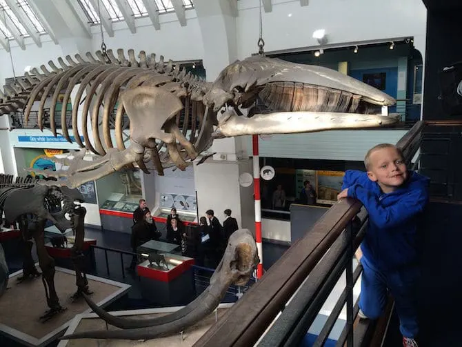 natural history museum london with kids animal hall