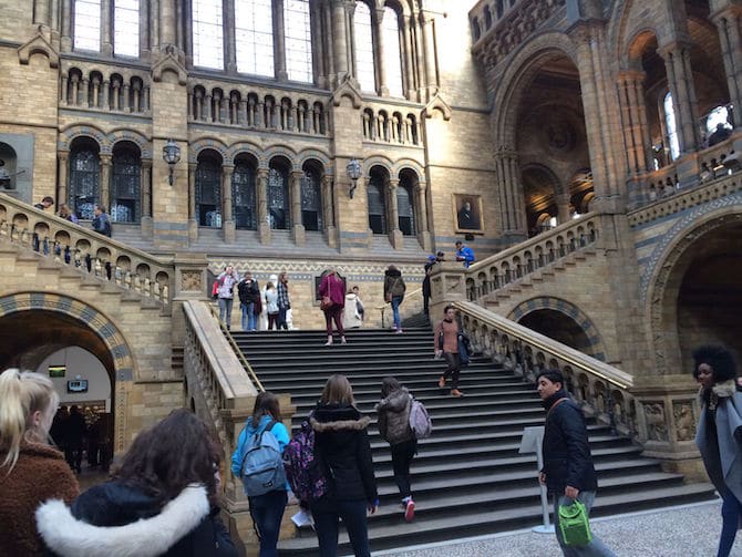 natural history museum london with kids architecture