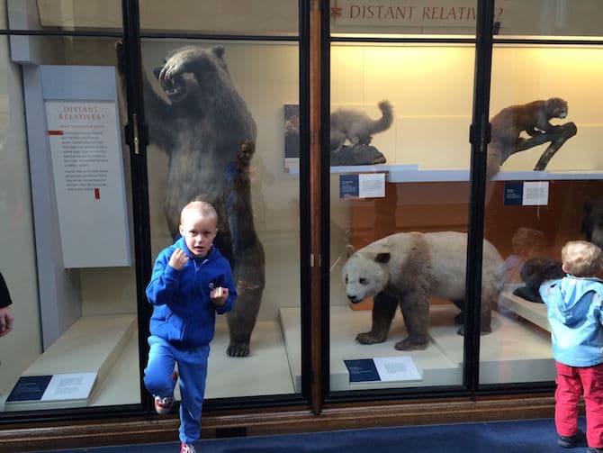 natural history museum london with kids bear pose