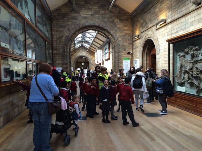 natural history museum london corridors