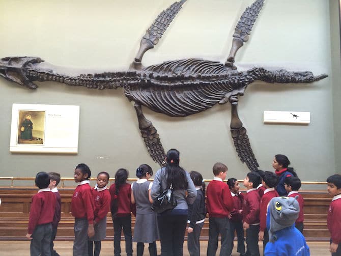 natural history museum london fossil with ned
