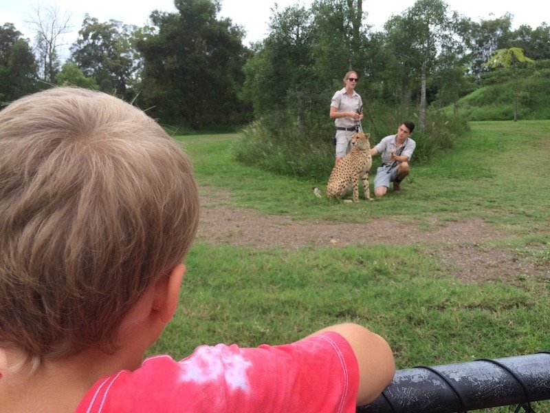 animal talks at australia zoo