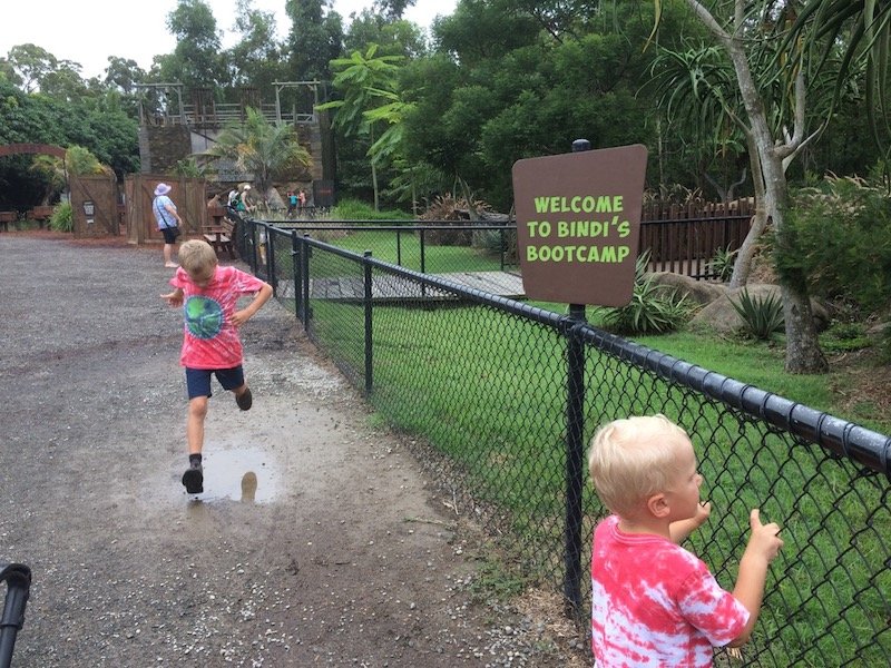 bindis bootcamp sign