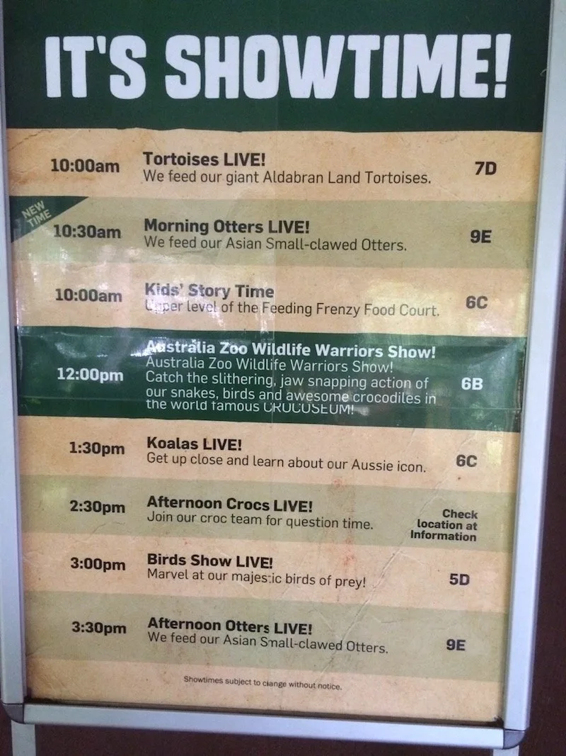 australia zoo show times board
