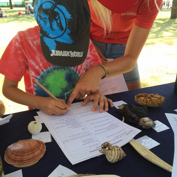 gold coast active and healthy shell activity pic