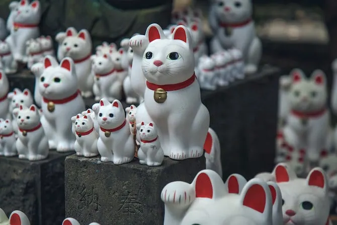 Temples in tokyo - cat temple tokyo close up