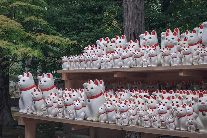 Lucky cat temple