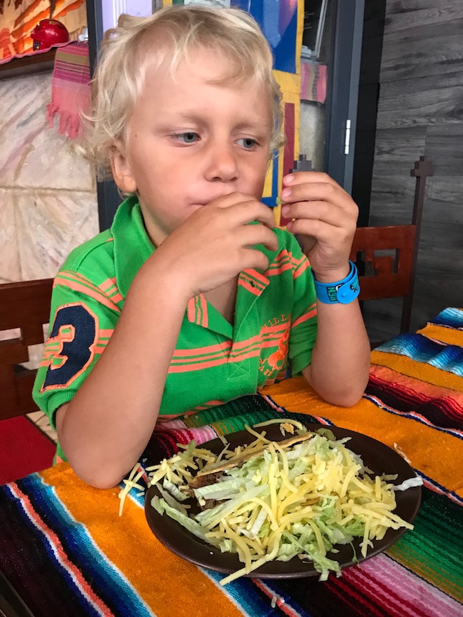 Aztec Mexican Gold Coast - Jack eating lettuce