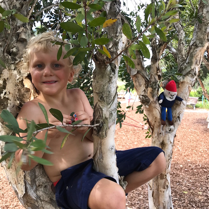 Sydney Park Playground St Peters pic