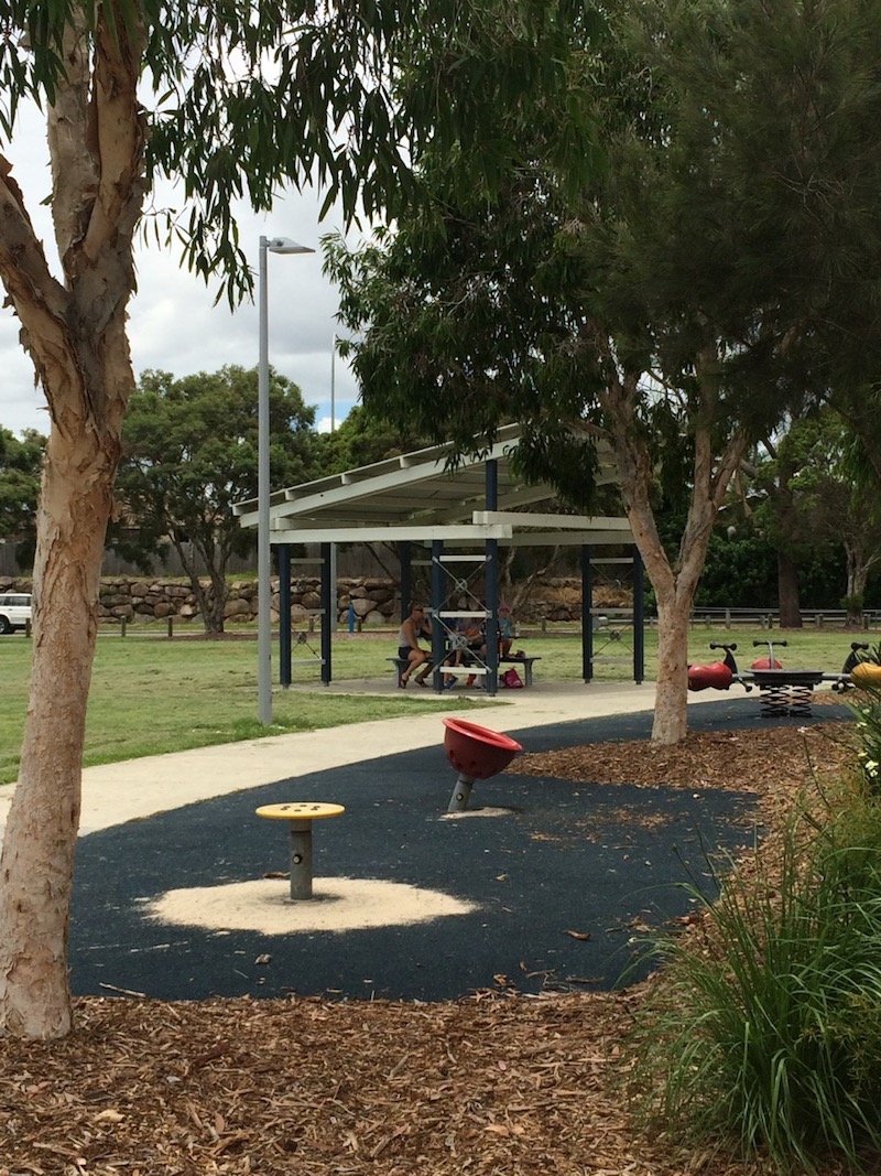 photo - hidden world playground fitzgibbon petal spinners