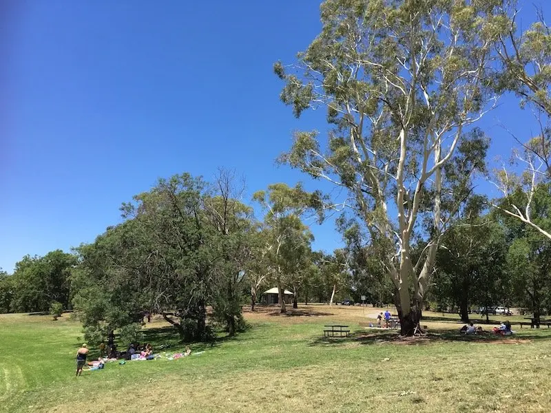 Weston Park Yarralumla Canberra parks picnic area pic