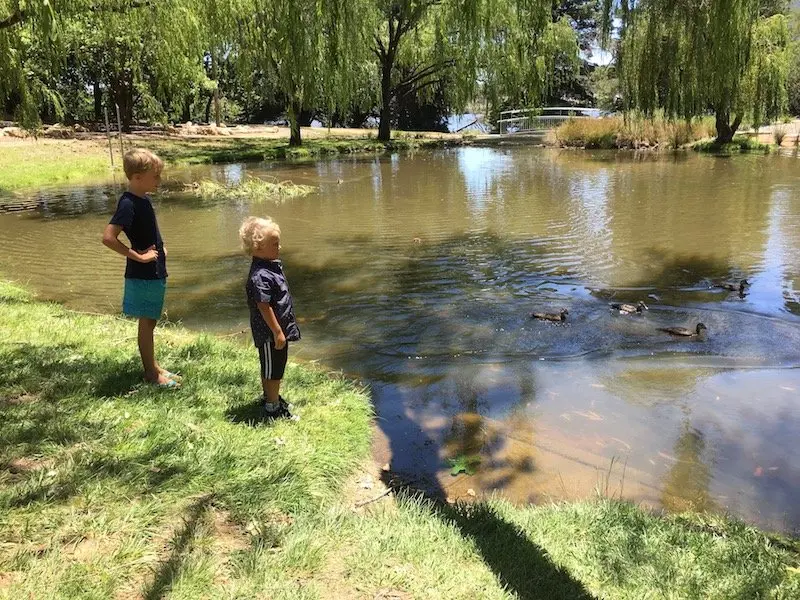 Yarralumla Park Canberra duck pond pic