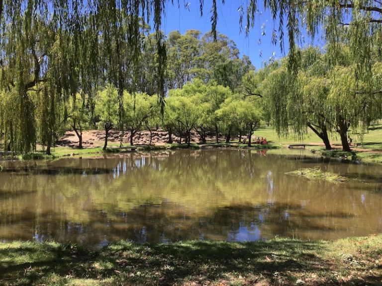 YARRALUMLA PARK EVERYTHING YOU NEED TO KNOW GUIDE