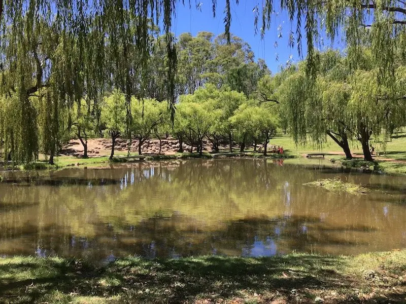 Yarralumla lake pic