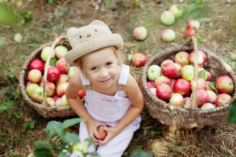 Big List Of Where To Buy Edible Flowers Australia