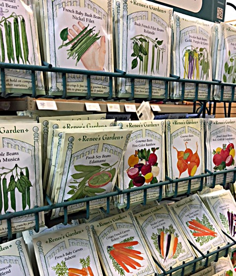 brooklyn botanic garden shop