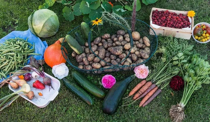 Visit ROAM THE GNOME Family Travel Website Directory or more SUPER DOOPER FUN ideas for family-friendly weekend adventures and travel with kids, around the world. Search by city. Rated by kids and our travelling Gnome.Photo- Brooklyn Botanic Gardens NYC vegetable harvest