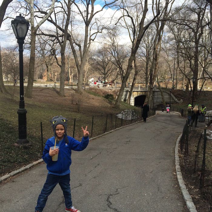 Visit ROAM THE GNOME Family Travel Website Directory for SUPER DOOPER FUN ideas for family vacations around the world. Search by city. Photo- Heckscher Playground Central Park