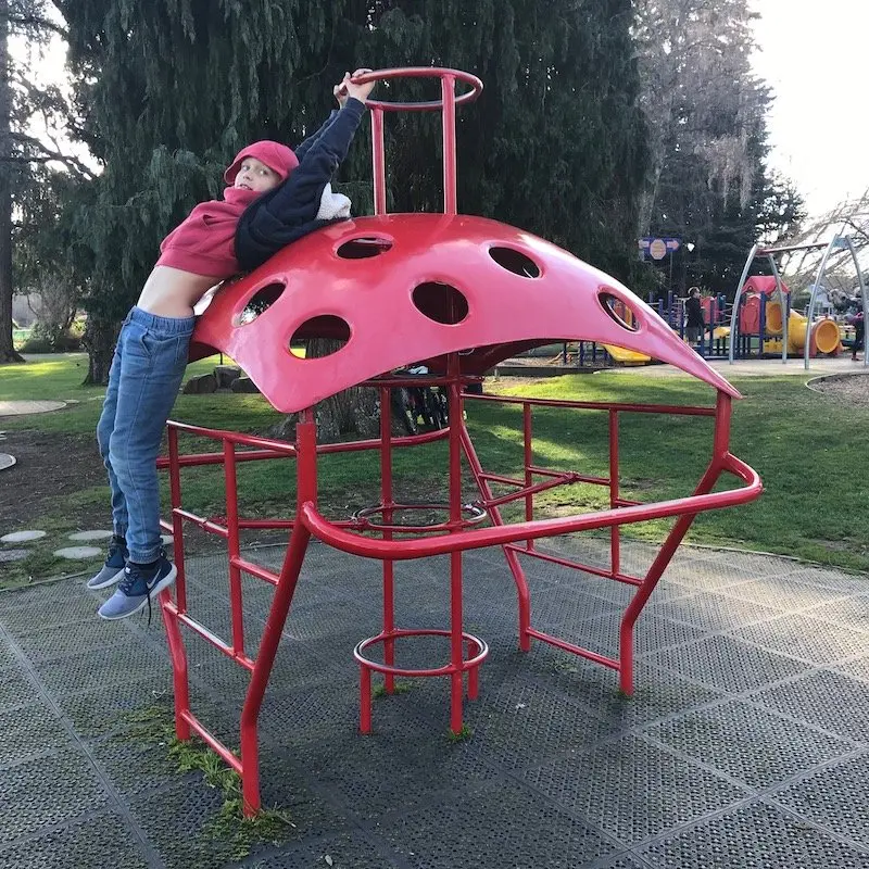 photo - taupo playground red climbing gym