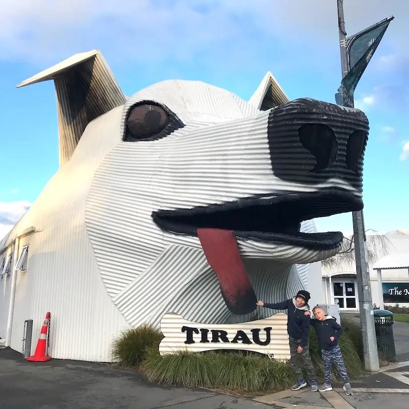 tirau big dog 800