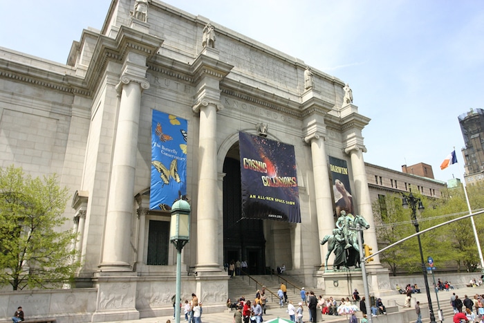 Discovery Room at Museum of Natural History. Visit ROAM THE GNOME FAMILY TRAVEL WEBSITE. Hundreds of fun ideas & activities to help you plan & book your next family vacation or weekend adventure