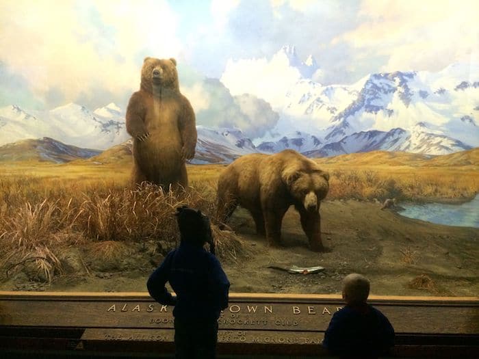 Discovery Room Museum of Natural History. Visit ROAM THE GNOME FAMILY TRAVEL WEBSITE. Hundreds of fun ideas & activities to help you plan & book your next family vacation or weekend adventure.