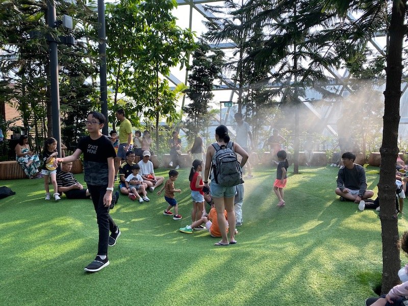 canopy park changi airport pic 800