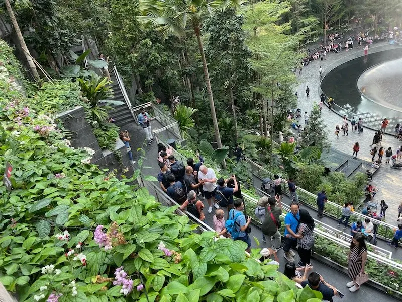 forest valley at jewel changi gardens 800 pic